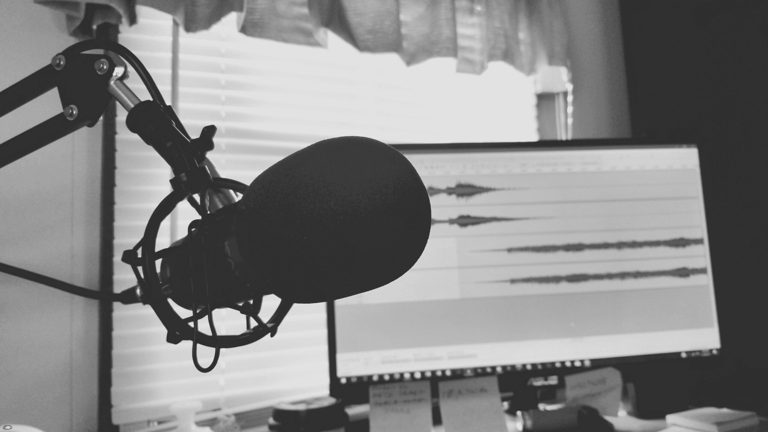 Special Guest Podcast #2